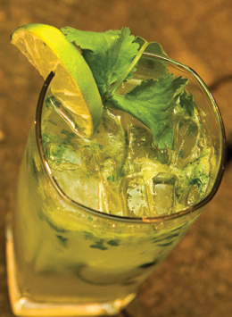 0307cocktail cilantro cooler