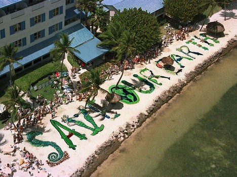 Earth Day Edibles and earth day activities high school. Earth Day Edibles and