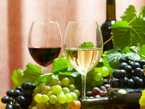 wine wine