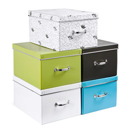 Bold Boxes, regularly $17.99, now $11.99 (containerstore.com)