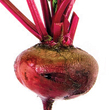 beet