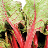 swiss chard