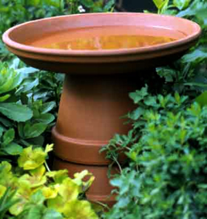 (Better Homes and Gardens)