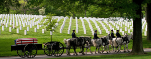 Arlington National Cemetary