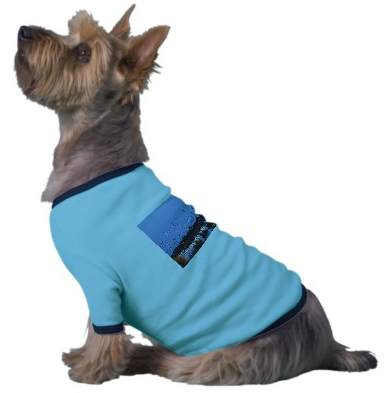 www.zazzle.com