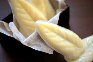 Lotion Bars