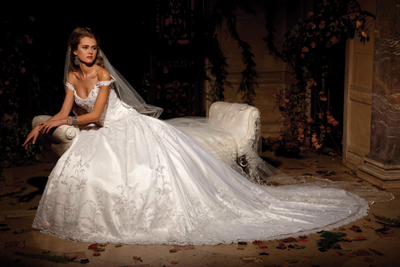 Wedding Sites Northern Virginia on Amalia Carrara Wedding Dress