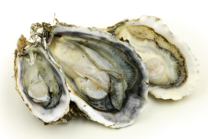 shutterstock_65801143