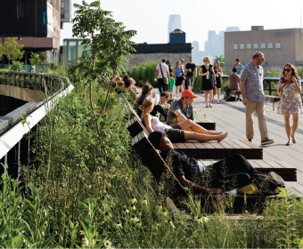 The High Line