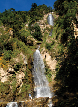 Nature