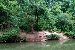 NoVA Rope Swing