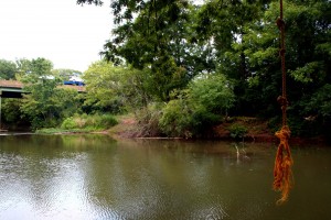 Rope Swinging