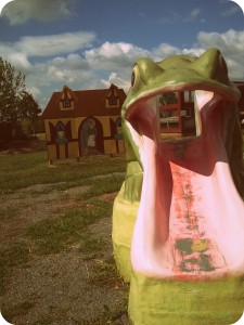 Cox Farms