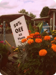 Cox Farms