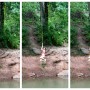 NoVA's best rope swing