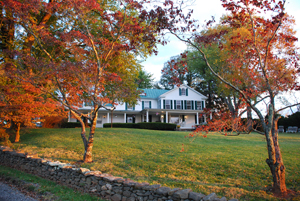 The Briar Patch