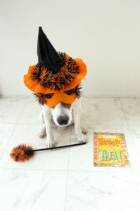 trick or treat