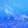 glass slipper