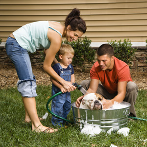 1211furryfavor