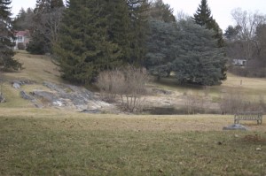 state arb