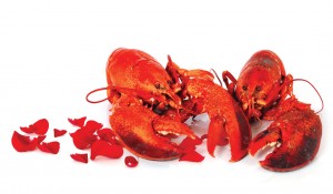 0212lobsters