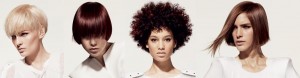 Vidal Sassoon
