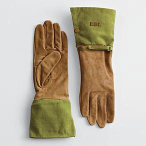 gloves