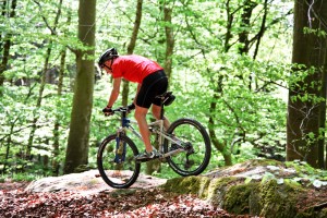 Spring Break Guide Mountain Bike