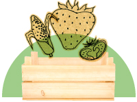fruits & veggies