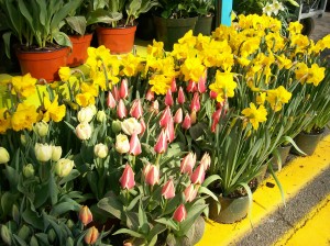 Leesburg Flower and Garden Show