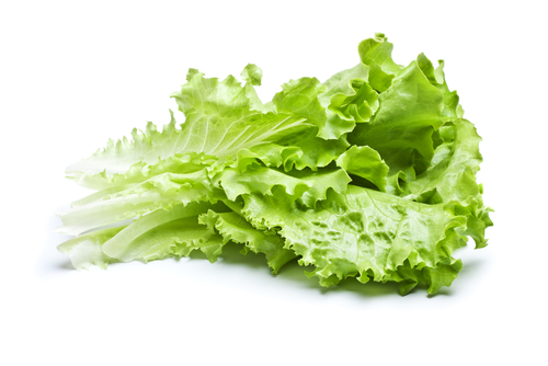 shutterstock_79125058