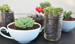 Click the photo for a list of instructions and supplies. (Photo courtesy: wednesdaycustomdesign.com)