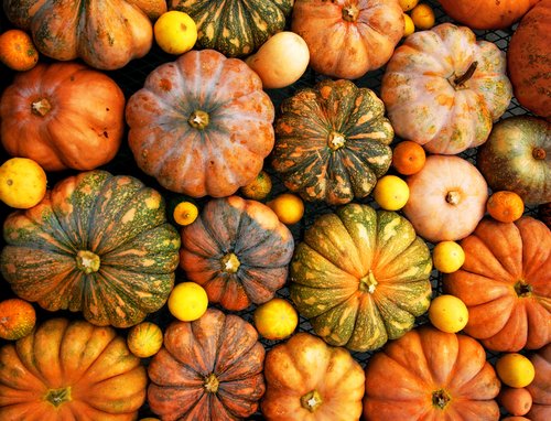 shutterstock_83599399