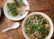 Vegetarian Pho