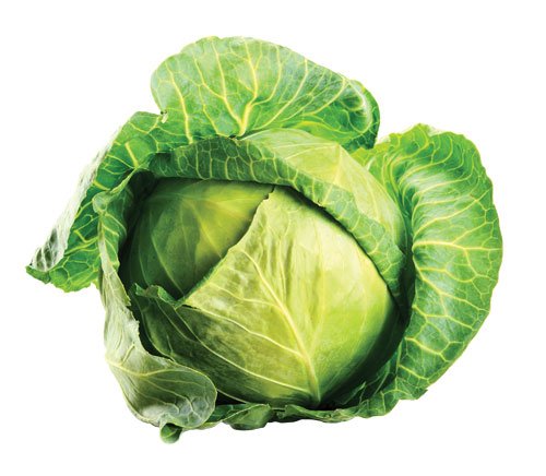 0313_toolkit_cabbage