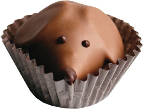 0513_musttry_peanutpup