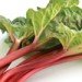 0513rhubarb_thumb
