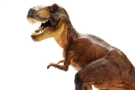 Discover the Dinosaurs at the Dulles Town Center