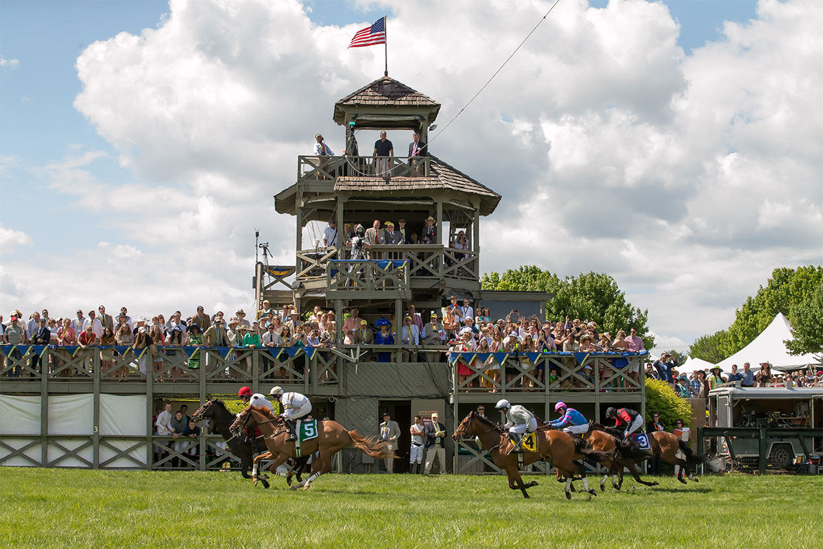 the virginia gold cup