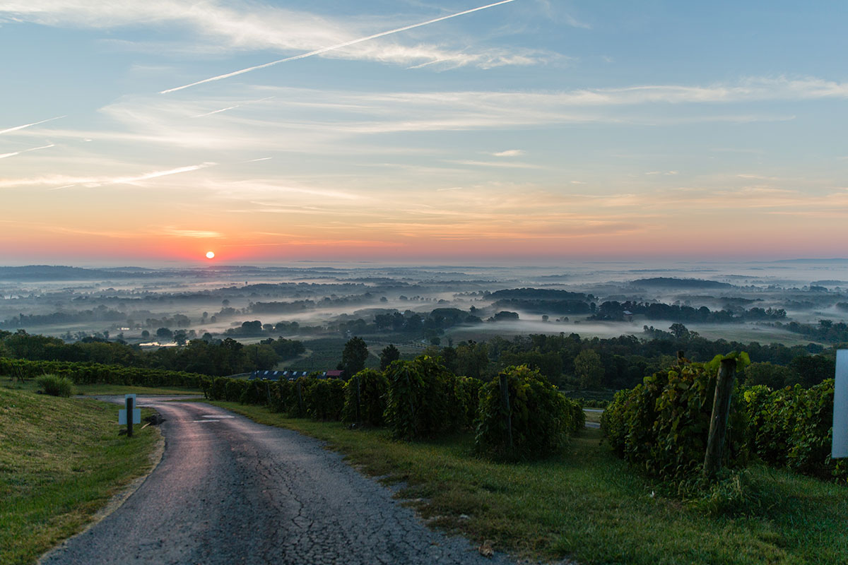 bluemont vineyard mountains and sunset