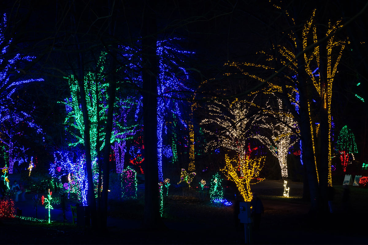 5 Outdoor Holiday Attractions To Visit In Nova