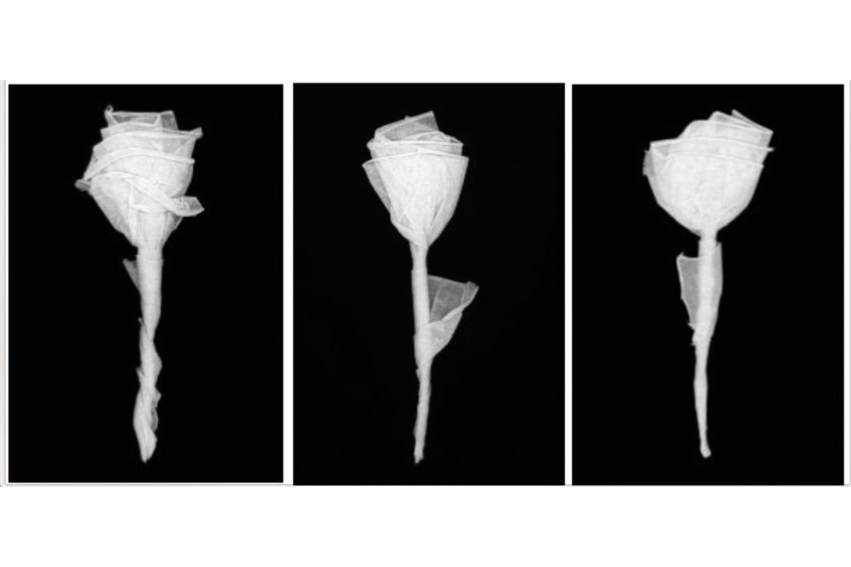 rose art made out of toilet paper
