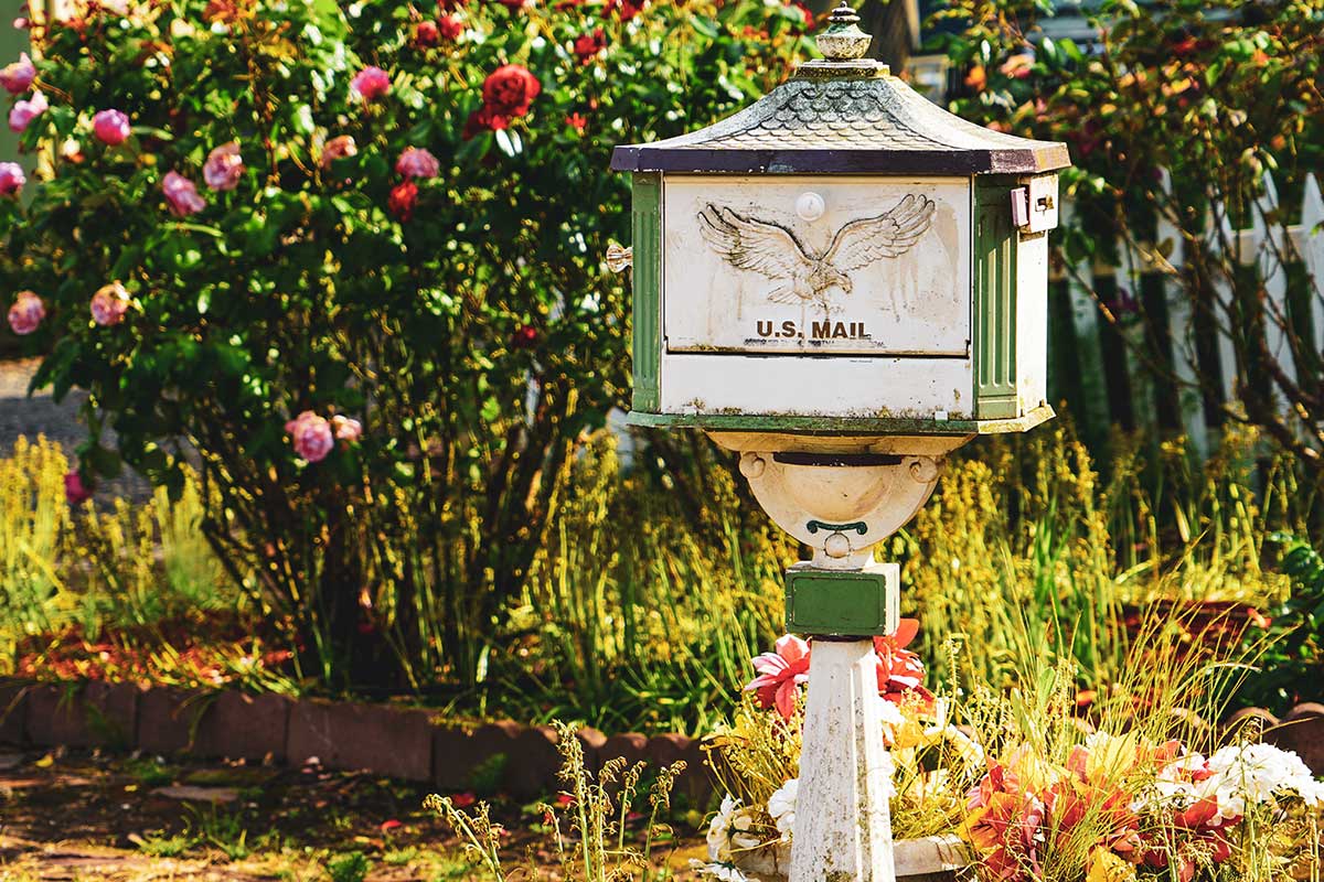 mailbox with flowers and grass