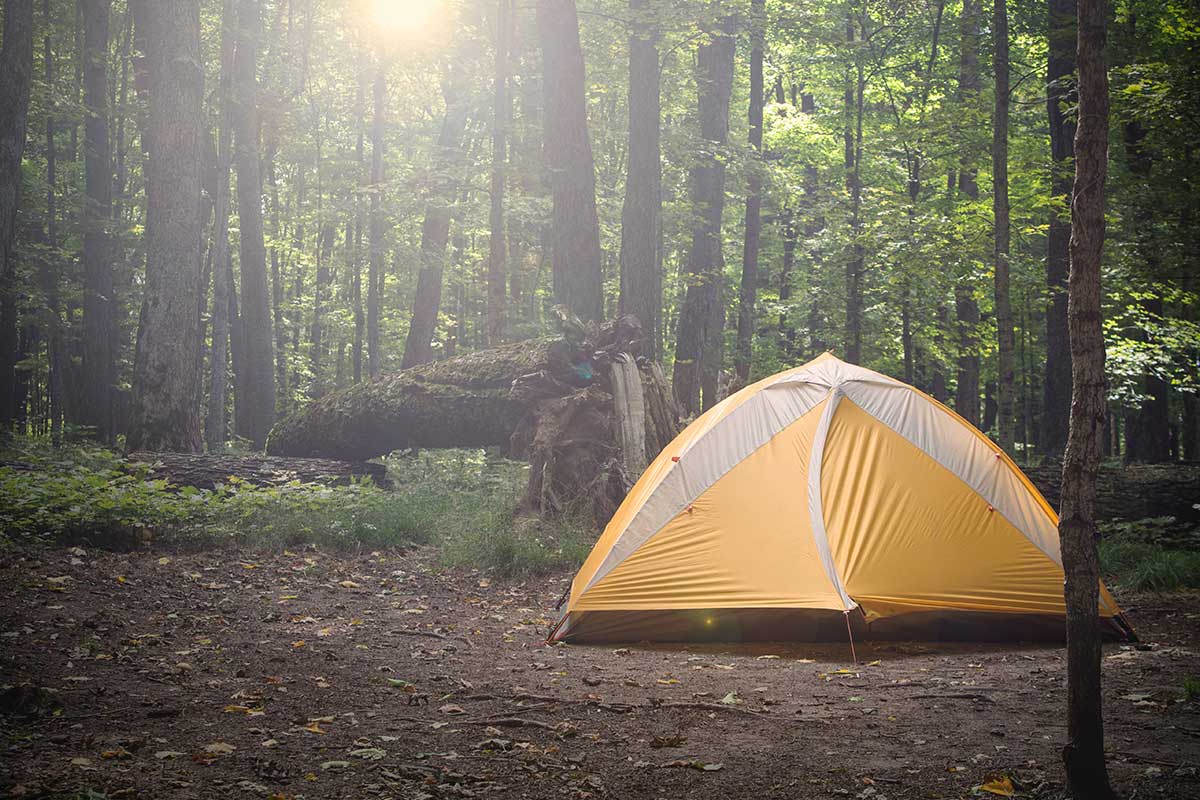 yellow camping tent in woods with trees and leaves and sunlight