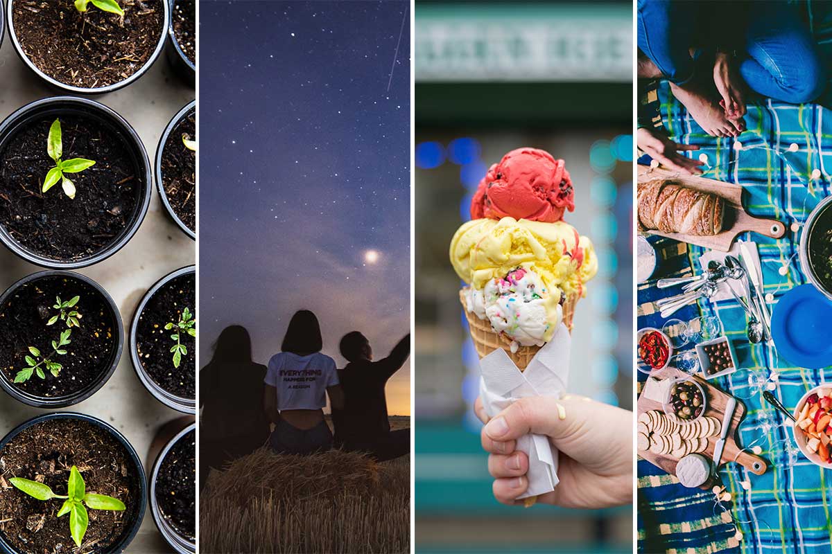 combo of photos with small plants stargazing ice cream and a picnic